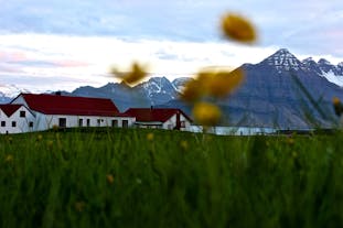 Ciesz się spokojnym pobytem w Berunes HI Hostel, podziwiając piękno Islandii.