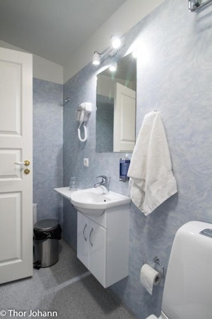 Travelers will feel right at home at Hotel Hjardarbol's spotless bathrooms.