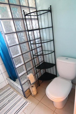 A bathroom with a toilet, shower, toilet paper, and shelving at Grundarfjordur HI Hostel.