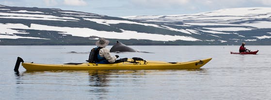 Kayaking tour is a great way to explore the best attractions of Iceland.