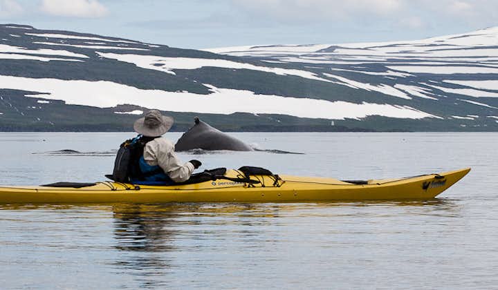 Kayaking tour is a great way to explore the best attractions of Iceland.