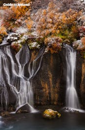 Pristine water flows over lava rock ledges at Hraunfossar waterfall in West Iceland during wintertime.
