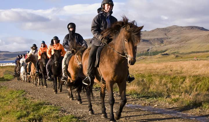 Participants can enjoy a relaxing view of Reykjavik from the back of a horse.