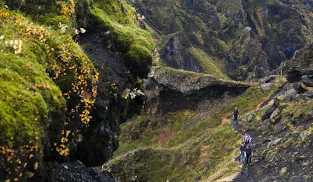 A group of people walking along a mountain trail in Iceland.