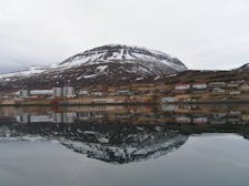 Reydarfjordur Village