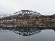 The scenic village of Reydarfjordur in the longest fjord of East Iceland.