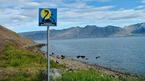 観光情報：アイスランド海の怪物博物館