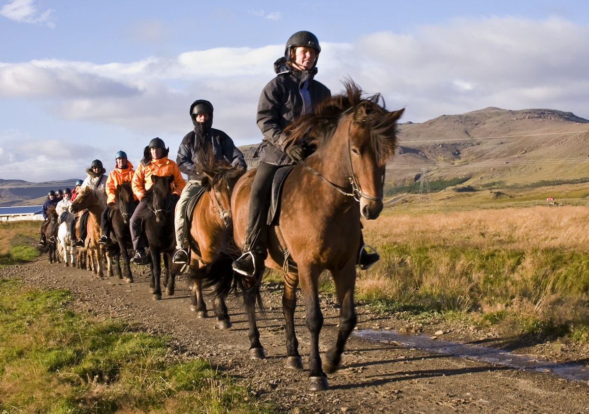 Memorable 2-Hour Horseback Riding Tour with Transfer from Reykjavik | 2 ...