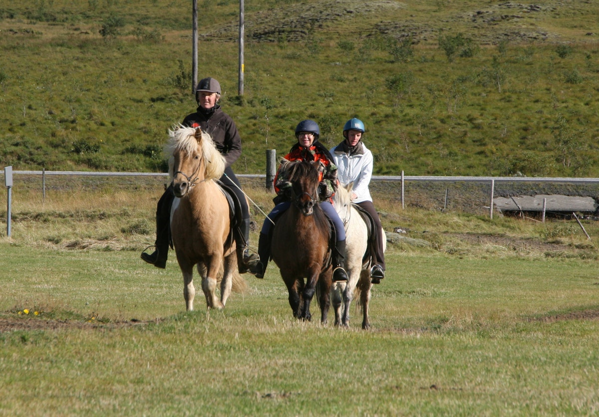 Memorable 2-Hour Horseback Riding Tour with Transfer from Reykjavik | 2 ...