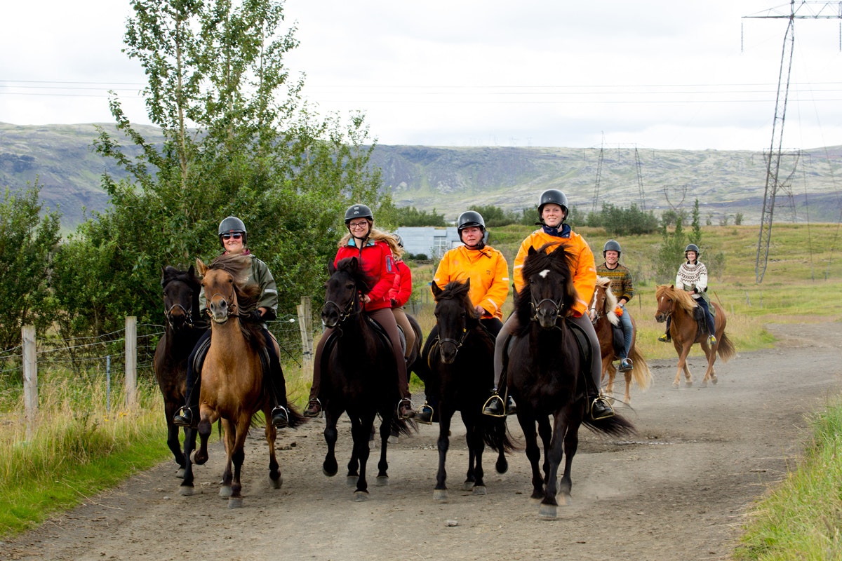 Memorable 2-Hour Horseback Riding Tour with Transfer from Reykjavik | 2 ...