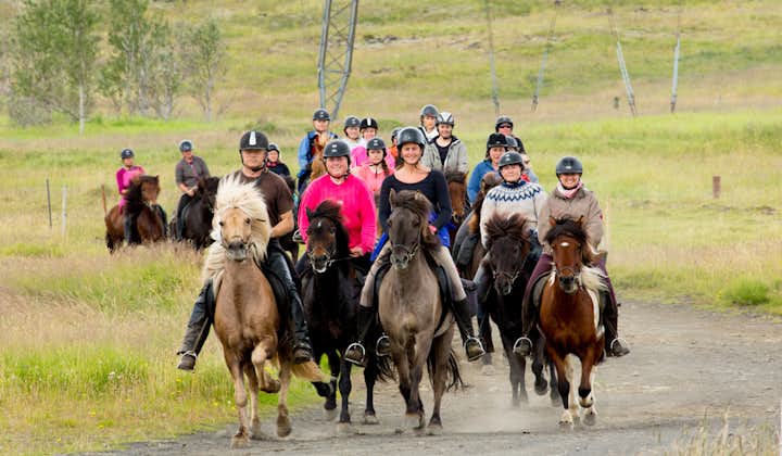 A group of people riding Icelandic horses on this 2-hour riding tour near Reykjavik.