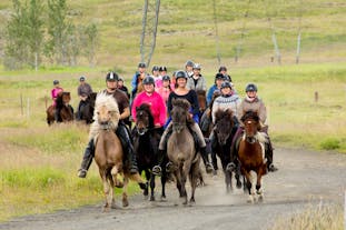 Eine Gruppe reitet auf Islandpferden auf dieser 2-stündigen Reittour in der Nähe von Reykjavik.
