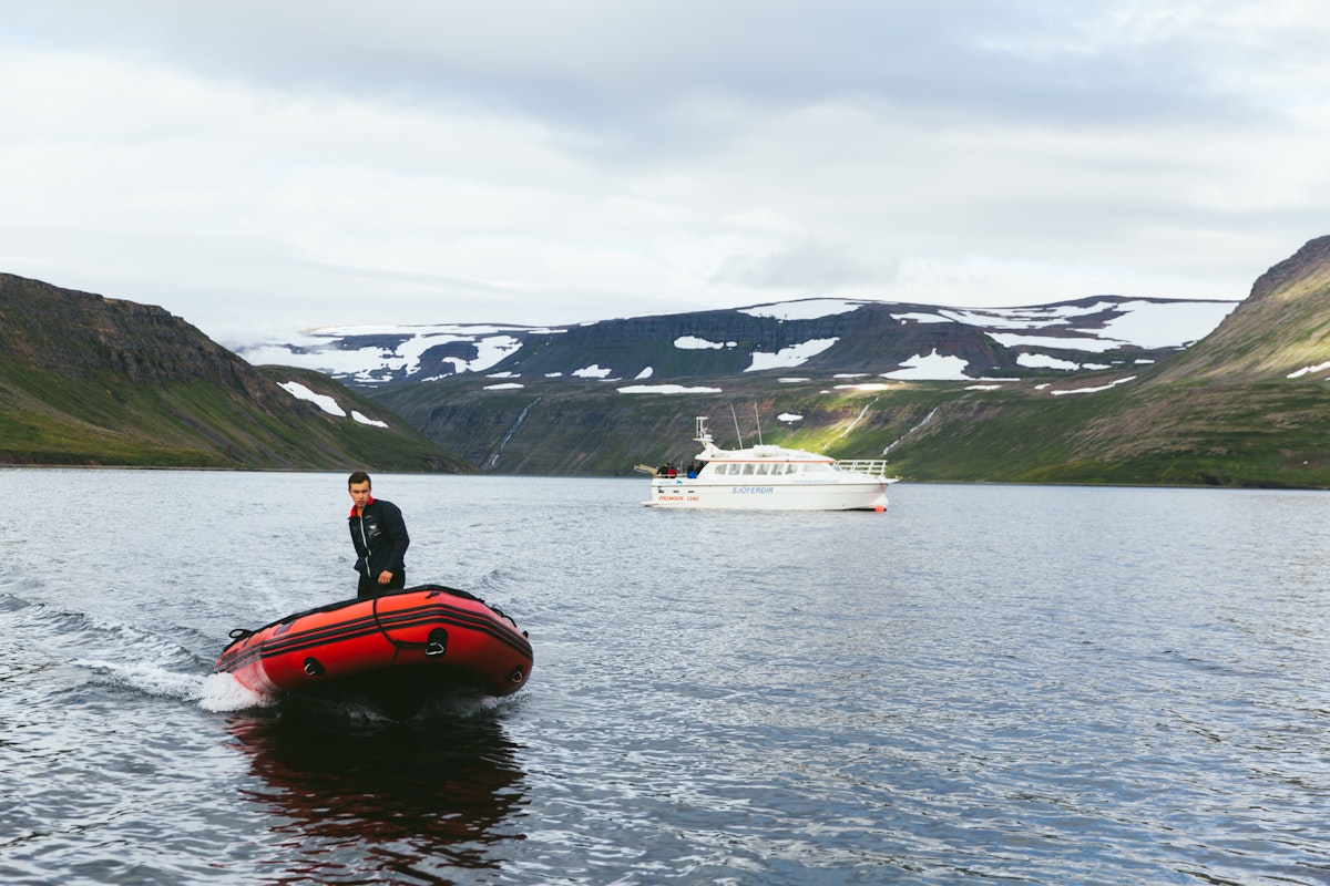 Breathtaking 3-Hour Boat Ride from Veidileysufjordur to Isafjordur ...