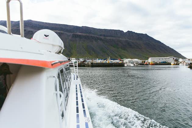 A view from a boat traveling through the Isafjardardjup fjord on a journey from Veidileysufjordur to Isafjordur.
