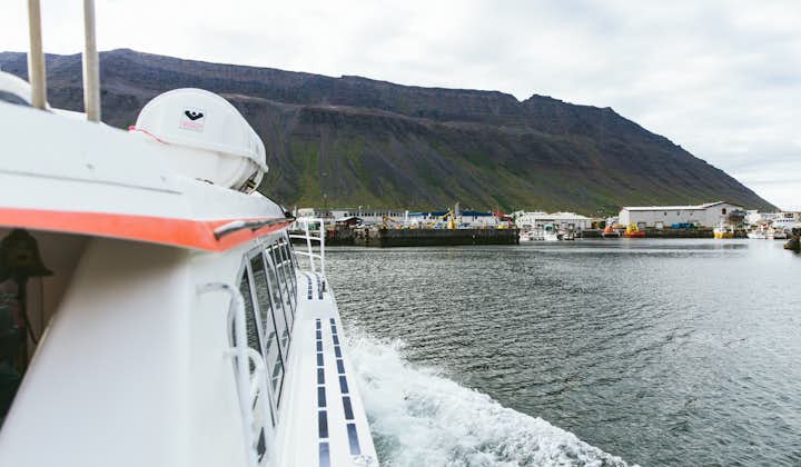 A view from a boat traveling through the Isafjardardjup fjord on a journey from Veidileysufjordur to Isafjordur.