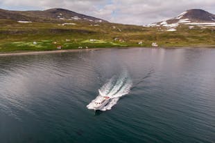 Visit the beautiful Hornstrandir Nature Reserve by taking a boat tour from Isafjordur to Hesteyri.
