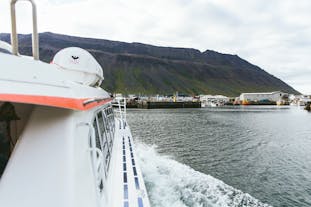 Join this exciting boat tour from Isafjordur to Veidileysufjordur on your trip to Hornstrandir Nature Reserve.