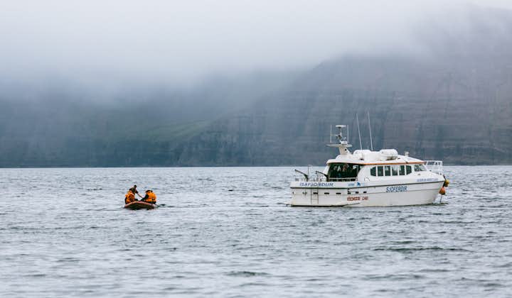 Ride a boat from Isafjordur to Adalvik to visit Iceland's Hornstrandir Nature Reserve.
