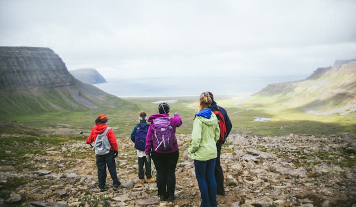 Take the challenge of joining a hiking tour in the remote Hornstrandir Nature Reserve of Iceland.