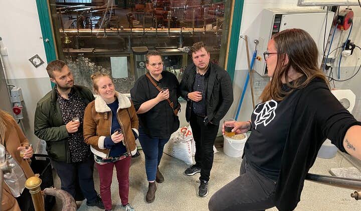A group of tourists enjoying this four-hour brewery walking tour in Reykjavik.