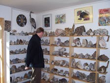 коллекция камней и минералов Petra's
