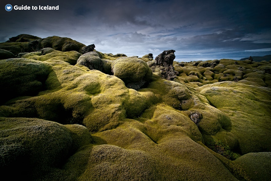 A moss-covered volcanic landscape on the Reykjanes peninsula near Reykjavik