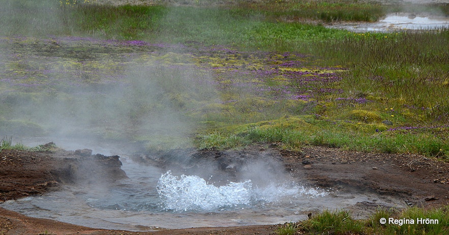 The spectacular Geysir Geothermal Area - Strokkur and all the other Hot Springs