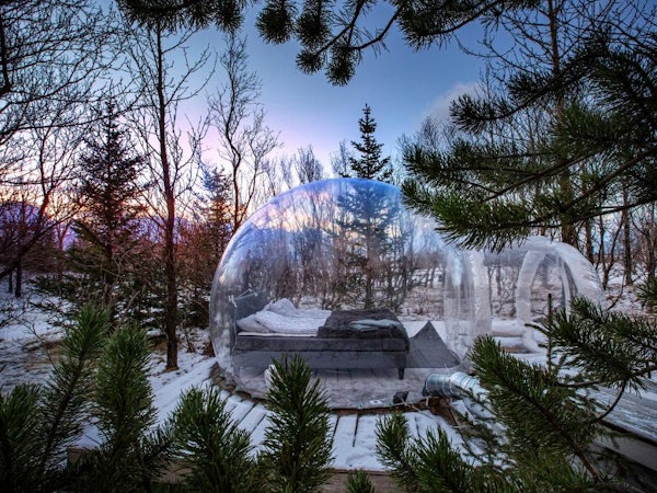 The unique transparent igloo available at Eyja Mork is perfect for stargazing or northern lights viewing.