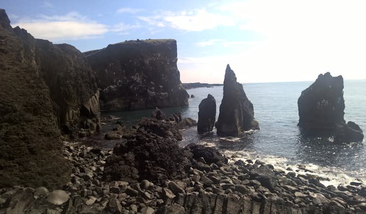 The Reykjanes peninsula has dramatic sea cliffs, a favorite bird nesting location.