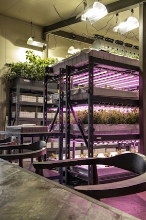 Rows of hydroponics are on shelves at the indoor urban farm at Hotel Akureyri Dynheimar in central Akureyri.