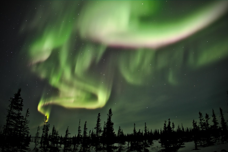 The countries in the Arctic Circle are the best places to see the northern lights.