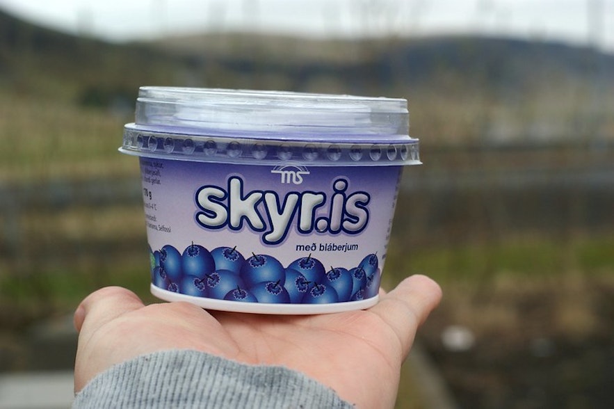 一小盆蓝莓skyr。