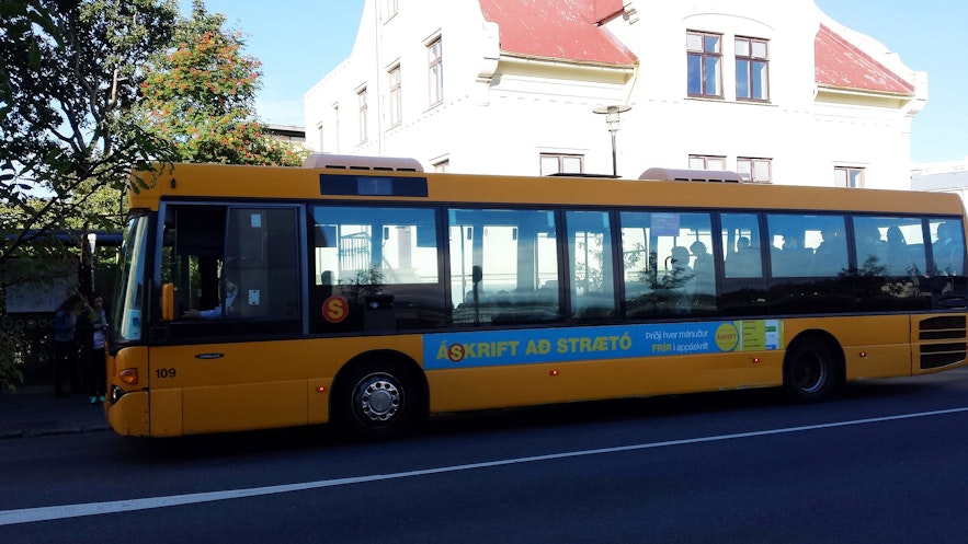 Straeto busses go around Reykjavik. 