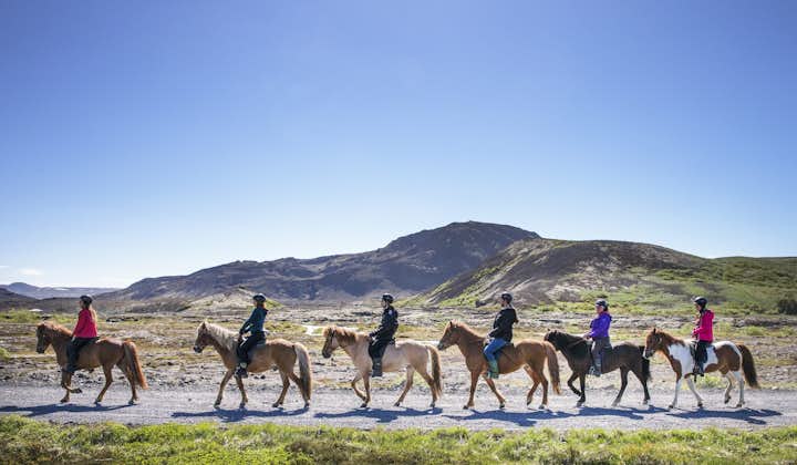 A group of riders enjoy a trek through the Icelandic countryside on hardy Icelandic horses.