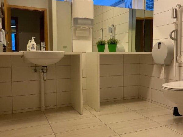 An accessible toilet at Dala Hotel with grab rails, a sink, and mirrors.