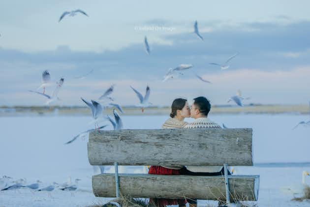 A couple shares a loving moment on a park bench in a Reykjavik park with seagulls flying around.