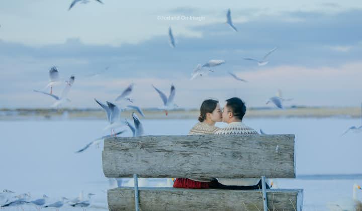 A couple shares a loving moment on a park bench in a Reykjavik park with seagulls flying around.