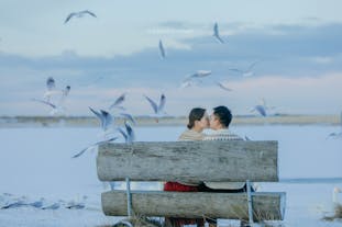 一对夫妇在雷克雅未克公园的长椅上与海鸥同框。