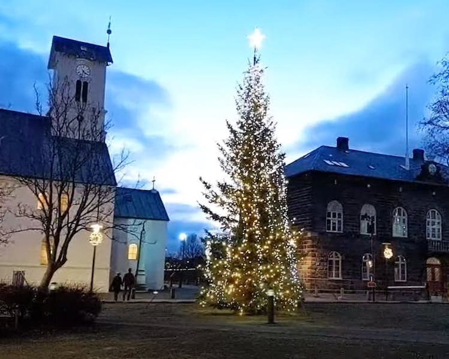 An outdoor Christmas tree with decorative lights in the center of Reykjavik.