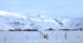 冬のエイヤフィヤトラ山と氷河