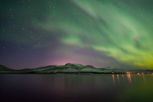 The aurora borealis illuminating a coastal area near Reykjavik.