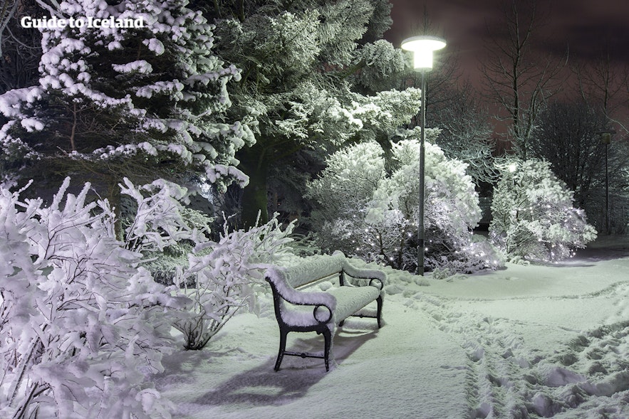 สวนเลยการ์ดาลูร์กับหิมะในหน้าหนาว