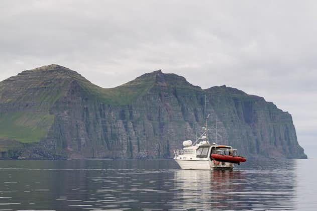 Enjoy a safe boat passage to Isafjordur after exploring the beautiful abandoned village of Hesteyri.