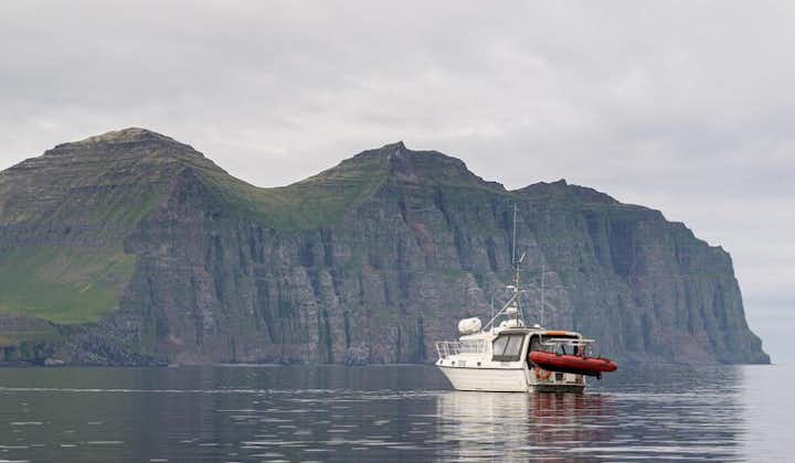 Enjoy a safe boat passage to Isafjordur after exploring the beautiful abandoned village of Hesteyri.