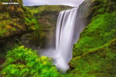 Skogafoss falls off a beautiful, green cliff in South Iceland.