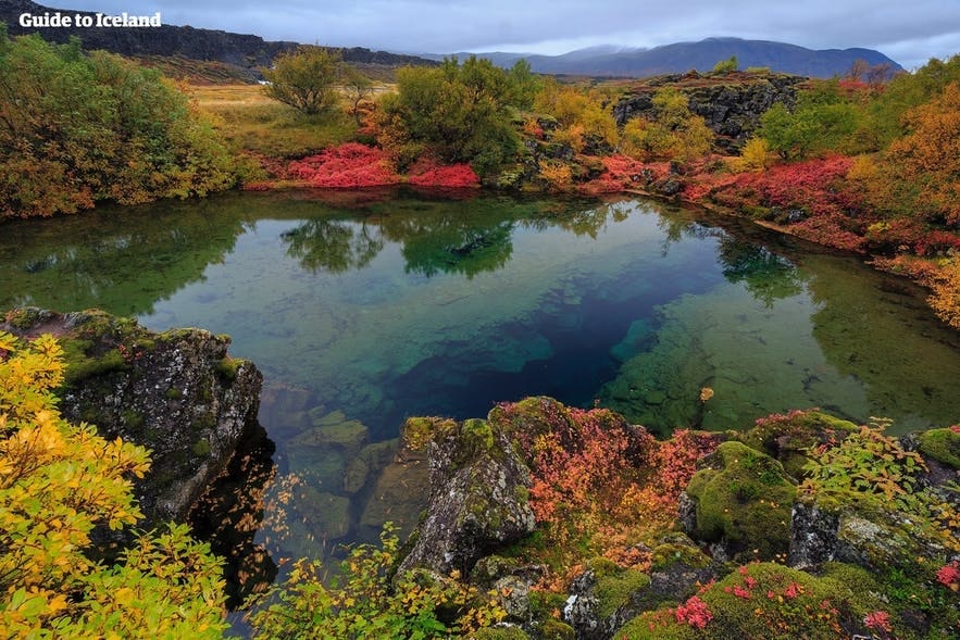 아이슬란드 씽벨리르 국립 공원의 가을 풍경
