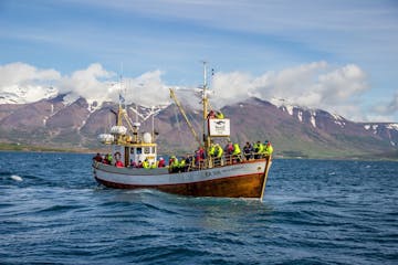 Наблюдение за китами в Исландии