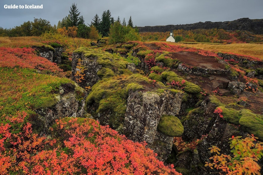 Il Parco Nazionale di Thingvellir in autunno è una destinazione bellissima ed è molto popolare nei tour in Islanda.