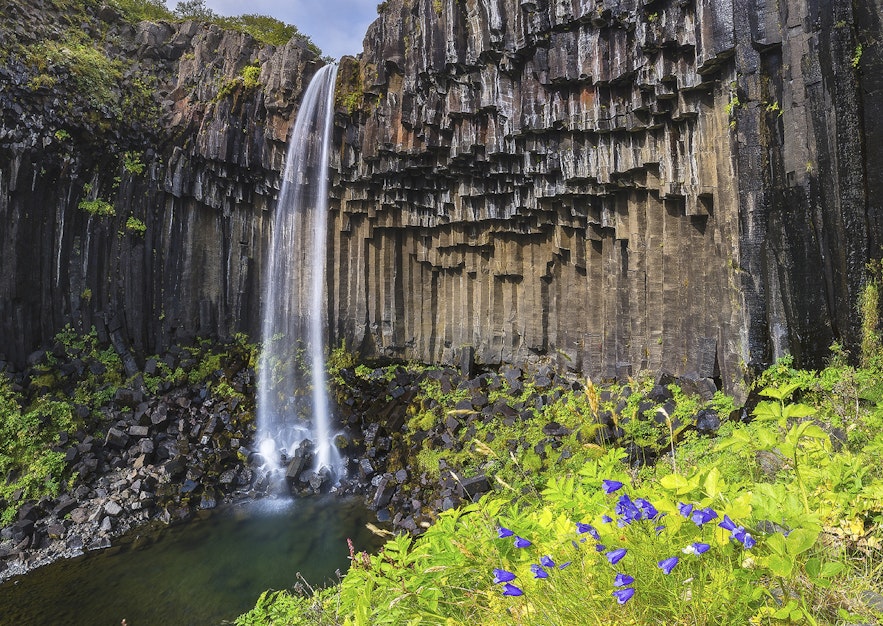 Svartifoss waterfall in Skaftafell Nature Reserve, Iceland