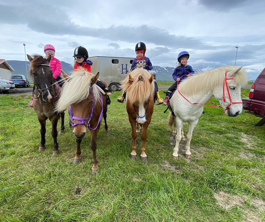Horse riding tour at Gasir farm, in North Iceland